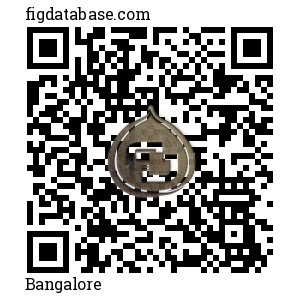 Bangalore QR Code