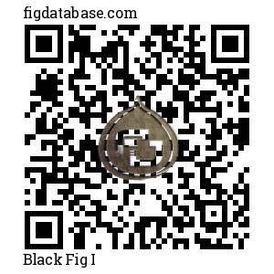 Black Fig I QR Code