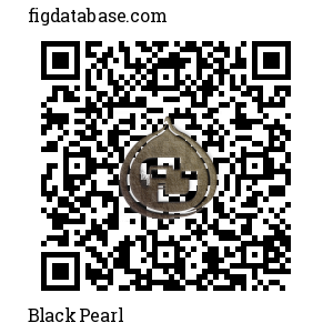 Black Pearl QR Code