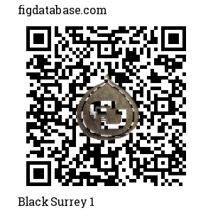Black Surrey 1 QR Code