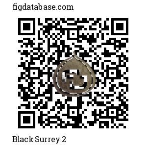 Black Surrey 2 QR Code