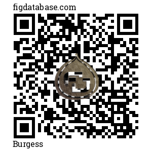 Burgess QR Code