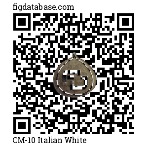 CM-10 Italian White QR Code