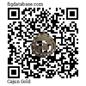 Cajun Gold QR Code