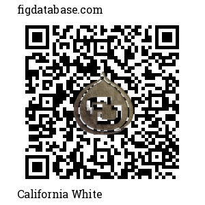 California White QR Code
