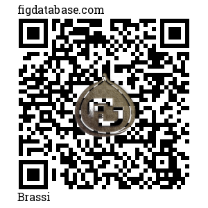 Brassi QR Code