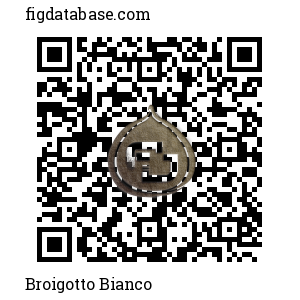 Broigotto Bianco QR Code