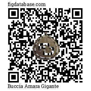 Buccia Amara Gigante QR Code