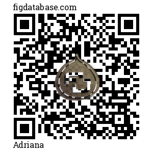 Adriana QR Code