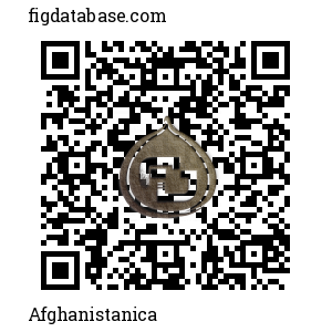 Afghanistanica QR Code