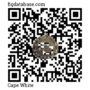 Cape White QR Code
