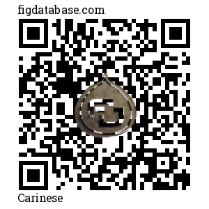 Carinese QR Code
