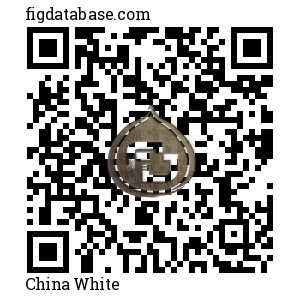 China White QR Code
