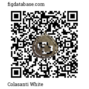 Colasanti White QR Code