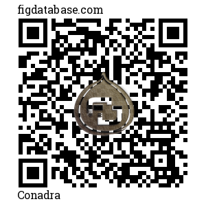Conadra QR Code