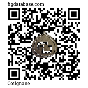 Cotignane QR Code