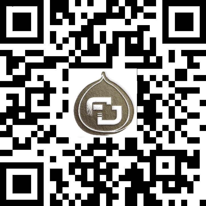 Italian 256 QR Code