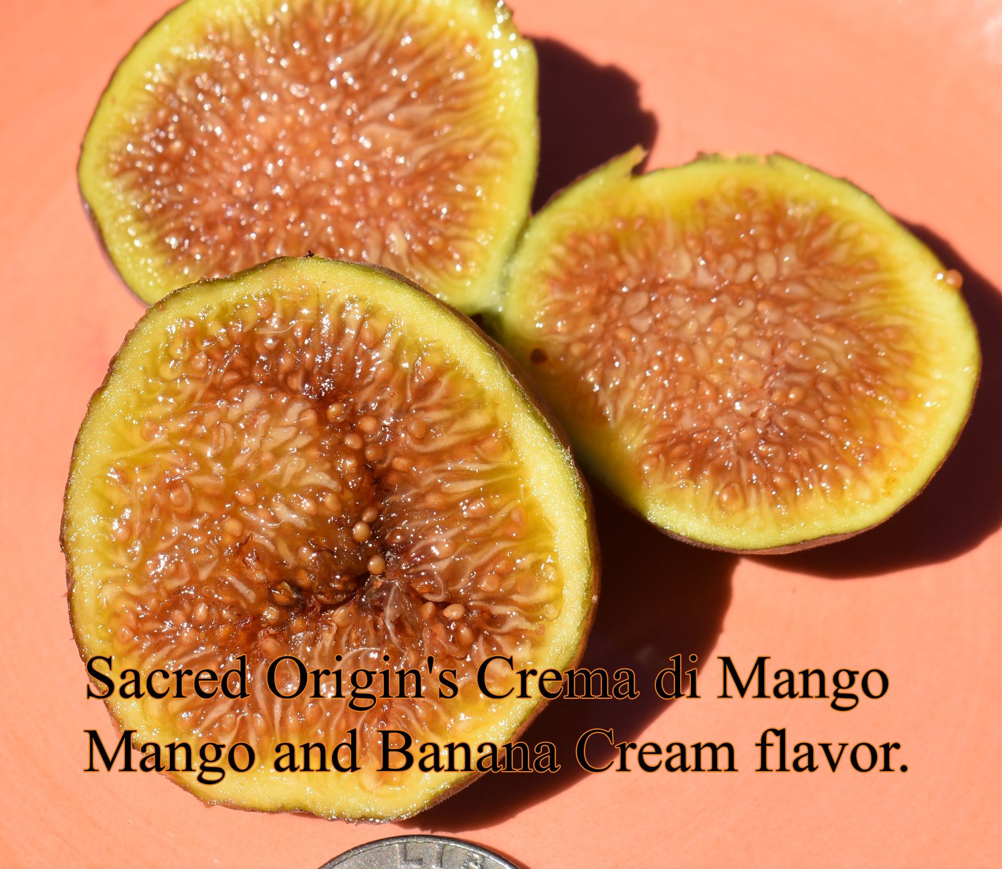 Crema di Mango