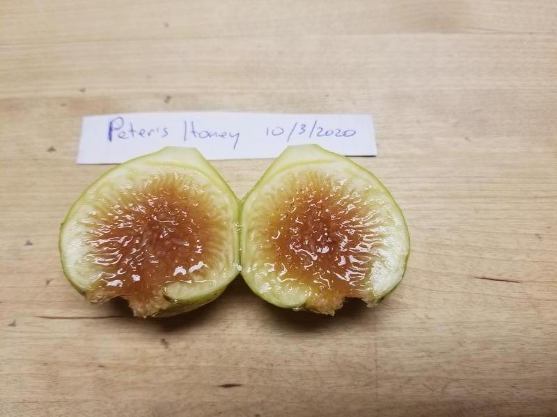 Peter's Honey