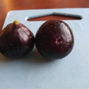 Figs4all Figs4all