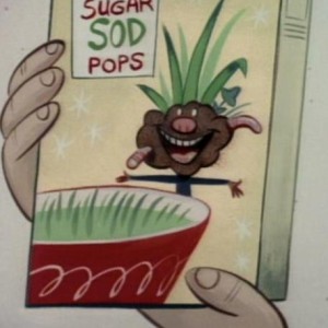 SugarSodPops