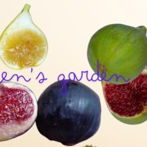 helengarden helengarden