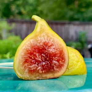 Strawberry Verte Strawberry Verte
