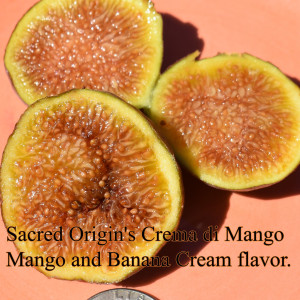 Crema di Mango