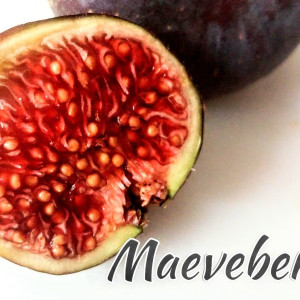 Maeveberry