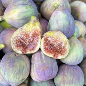 Gris de St Jean Gris de St Jean