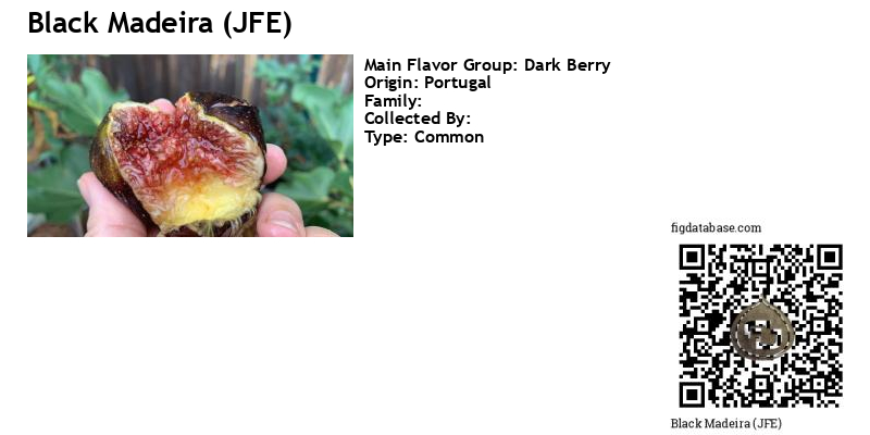 Fig Database®: Black Madeira JFE